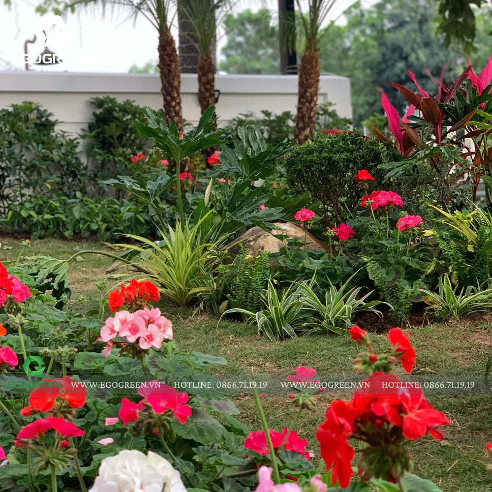 Không gian sân vườn biệt thự cao cấp vừa có độ rộng và sâu.